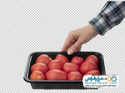 دانلود تصویر بدون پس زمینه گوجه فرنگی داخل ظرف یکبار مصرف