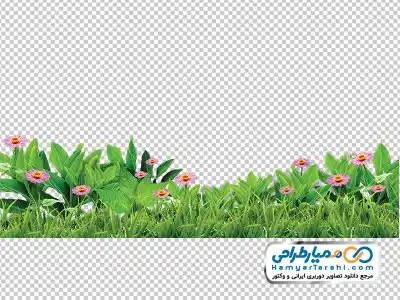 دانلود دوربری تصویر چمن و گل