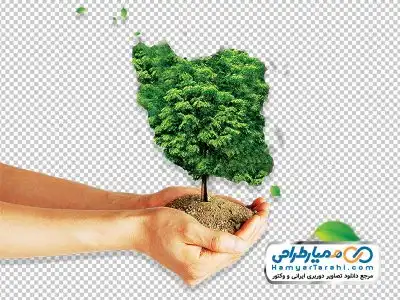 تصویر png درخت به شکل نقشه ایران