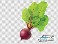 دوربری تصویر چغندر قرمز