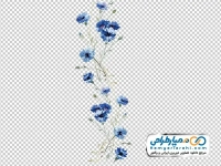 تصویر با کیفیت گل ذرت آبی با برگ های سبز