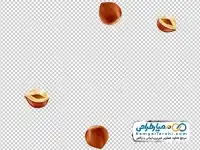 دوربری تصویر فندق