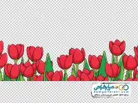 دوربری نقاشی گل لاله