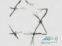 دوربری سیم خاردار