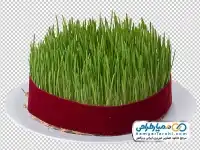 تصویر با کیفیت سبزه عید نوروز