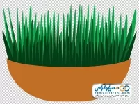 تصویر وکتوری سبزه سفره هفت سین