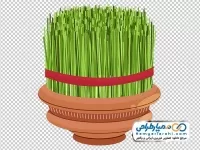 دوربری تصویر سبزه سفره هفت سین