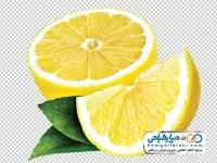 تصویر وکتوری لیموترش