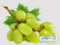 تصویر با کیفیت انگور