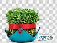دوربری سبزه عید