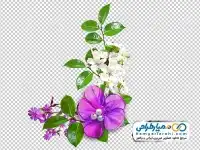 دوربری تصویر گل مرواریدی