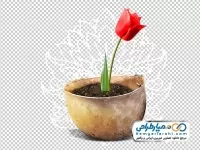 دوربری کلاه جنگی فلزی با گل لاله