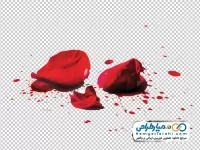 تصویر با کیفیت لکه خون و گلبرگ گل