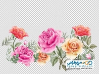 فایل png وکتوری دسته گل افقی با گل های رز صورتی، نارنجی و زرد