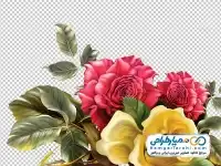 تصویر با کیفیت گل نقاشی شده