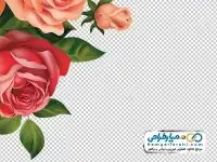 دوربری نقاشی گل رز