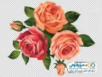 تصویر png دسته گل رز