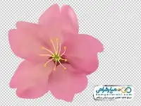 دوربری گل صورتی چهار پر