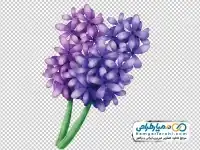دوربری تصویر شاخه گل سنبل