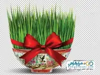 تصویر png سبزه عید