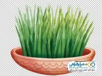 دوربری تصویر سبزه عید