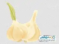 تصویر png سیر
