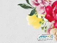 دانلود نقاشی دوربری گل