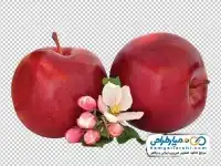 تصویر دوربری شده سیب