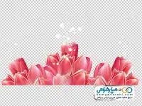 تصویر با کیفیت گل لاله