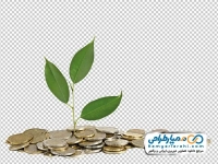 تصویر png سکه با نهال درخت