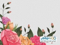 تصویر دوربری شده گوشه گل رز نارنجی و قرمز