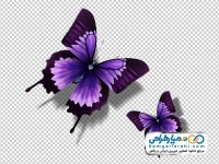 تصویر با کیفیت پروانه بنفش