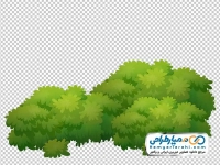 تصویر png درختچه