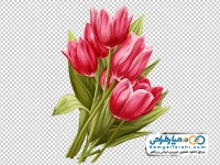 عکس وکتوری دسته گل لاله