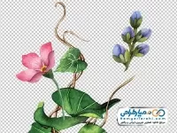 تصویر وکتوری شاخه گل