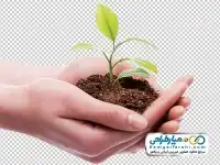 دوربری دست و نهال گل
