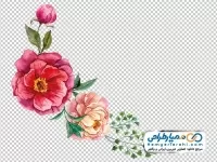 دانلود نقاشی گل