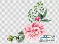 نقاشی گل صورتی
