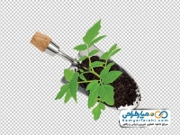 تصویر دوربری شده بیلچه با گیاه
