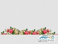 تصویر با کیفیت گل برای طراحی