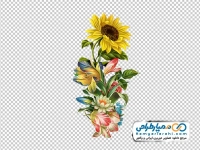 تصویر با کیفیت گل آفتابگردان آبرنگی