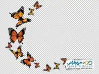 تصویر png دسته پروانه