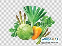 تصویر وکتوری سبزیجات