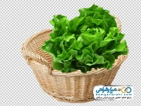 تصویر png کاهو در سبد حصیری