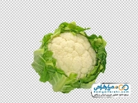 تصویر png گل کلم