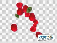 عکس png گلبرگ قرمز