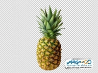 تصویر دوربری آناناس