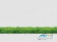تصویر با کیفیت چمن طبیعی