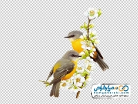 استیکر دیواری پرنده