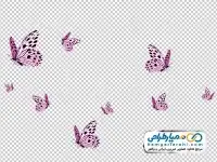 تصویر دوربری پروانه های صورتی